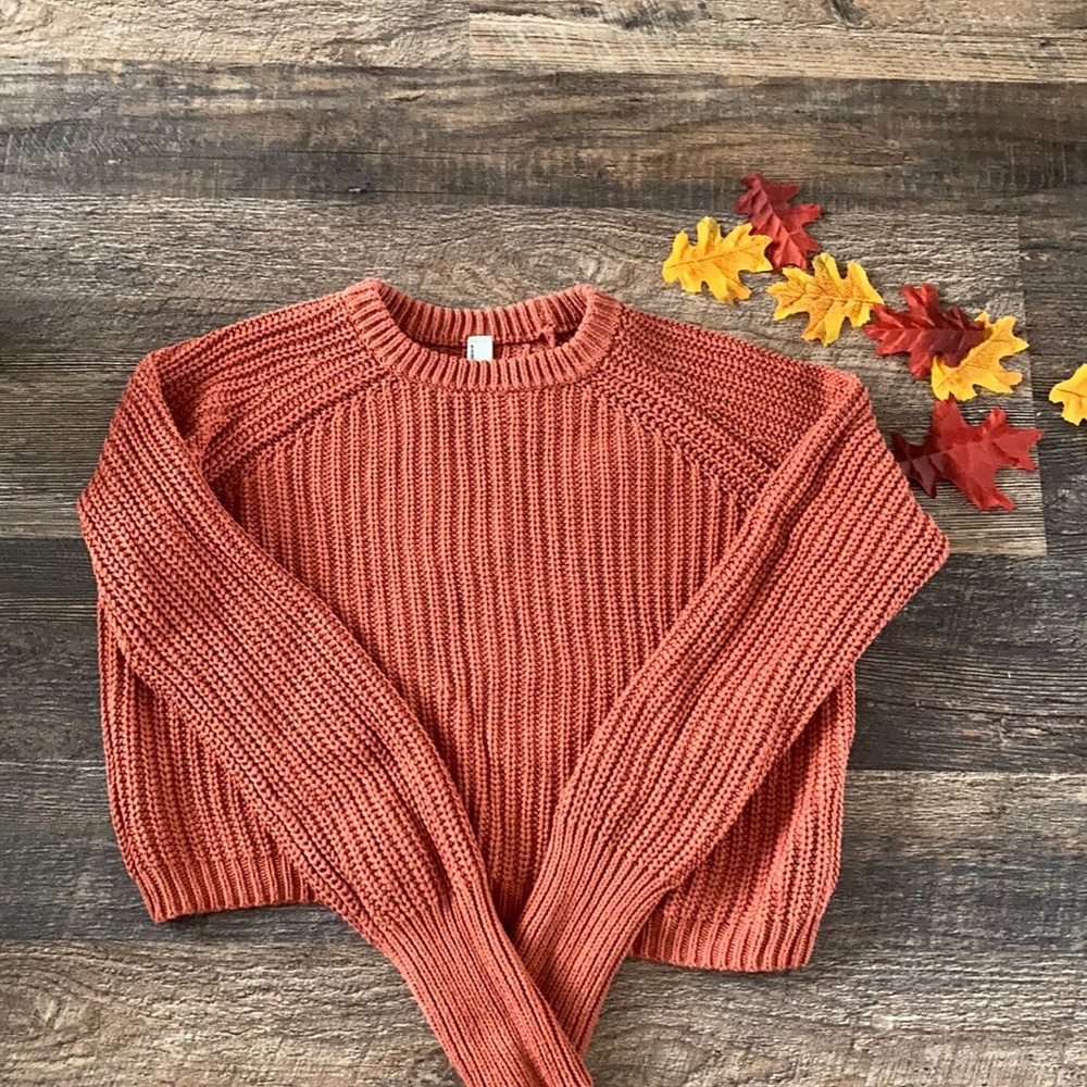 American Apparel Crop Sweater